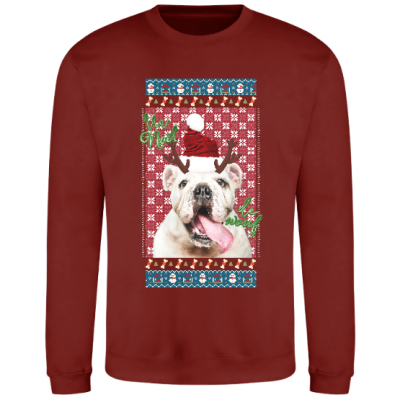 SWEAT-SHIRT - Chien de Noël