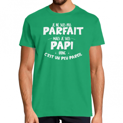 T-SHIRT JE NE SUIS PAS PARFAIT MAIS JE SUIS PAPI DONC C'EST UN PEU PAREIL