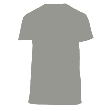 T-SHIRT HOMME - BRAVE LION