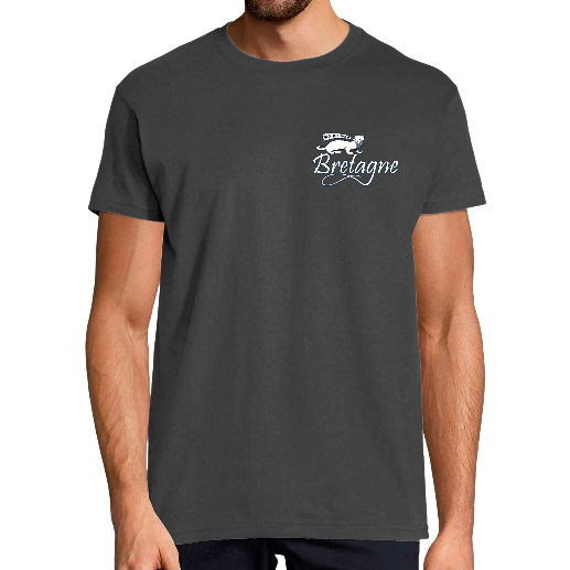 Face BRETAGNE HERMINE