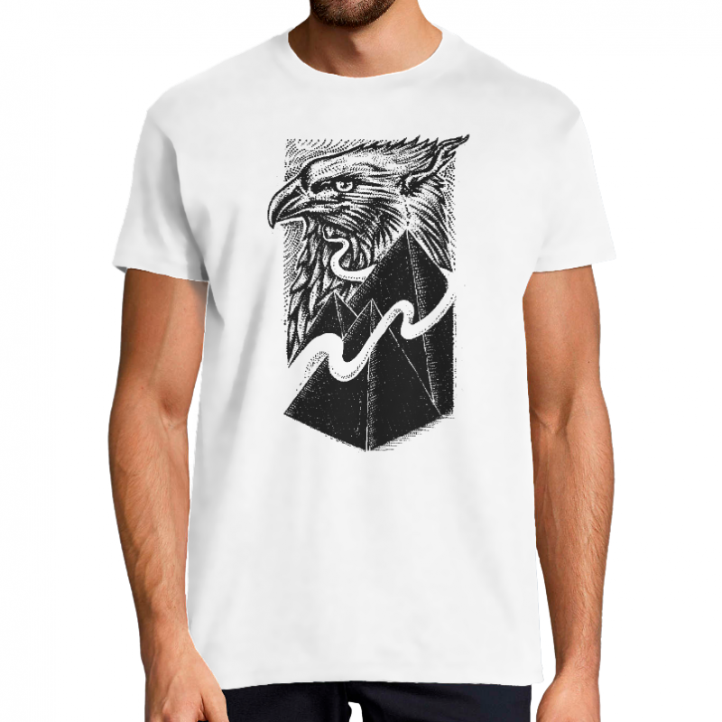 T-SHIRT HOMME - EAGLE RISING