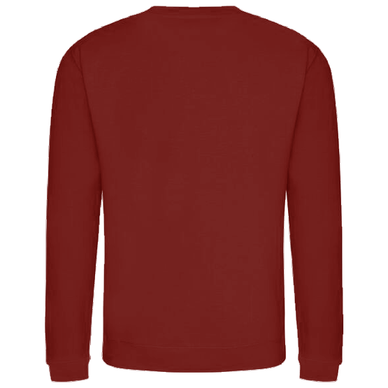 SWEAT-SHIRT - Chien de Noël