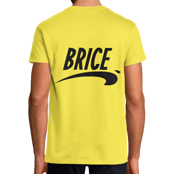 TSHIRT BRICE AU DOS